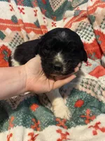 processed/f8bc17d0-d970-4ed3-aab9-bc261f155351/listing/46f146d1-7bb0-4225-8922-d846b9f8000d/496de38e-0181-4db6-a9e8-0dcc5152a5b4