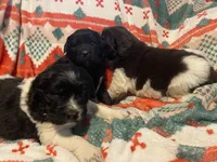 processed/f8bc17d0-d970-4ed3-aab9-bc261f155351/listing/46f146d1-7bb0-4225-8922-d846b9f8000d/73a3927e-babc-4e84-9dcf-7e1c9bac06ae