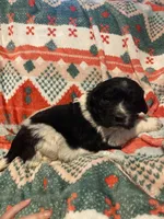 processed/f8bc17d0-d970-4ed3-aab9-bc261f155351/listing/46f146d1-7bb0-4225-8922-d846b9f8000d/a0ffdf38-20db-4d09-a200-3161d4fc93ce