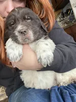 processed/f8bc17d0-d970-4ed3-aab9-bc261f155351/listing/5024849d-3dda-41c5-9e33-1616861cf272/0b2ea597-4220-4837-86f9-a57a8f8faf6d