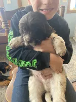 processed/f8bc17d0-d970-4ed3-aab9-bc261f155351/listing/5024849d-3dda-41c5-9e33-1616861cf272/2d7910ea-dee4-4dab-9c41-bca35c36c7fa