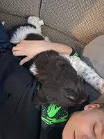 processed/f8bc17d0-d970-4ed3-aab9-bc261f155351/listing/5024849d-3dda-41c5-9e33-1616861cf272/4924753c-15ac-40b0-bfa8-5cdd80f03809