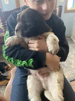 processed/f8bc17d0-d970-4ed3-aab9-bc261f155351/listing/5024849d-3dda-41c5-9e33-1616861cf272/799c0b5d-d95c-46ba-8cc3-580d6d20981e