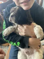 processed/f8bc17d0-d970-4ed3-aab9-bc261f155351/listing/5024849d-3dda-41c5-9e33-1616861cf272/7f9ffb4b-432e-4105-a8ba-70575db2ba74