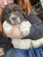 processed/f8bc17d0-d970-4ed3-aab9-bc261f155351/listing/5024849d-3dda-41c5-9e33-1616861cf272/fc185e10-e23a-4961-bb1c-f1ae6b7878db