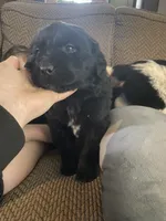 processed/f8bc17d0-d970-4ed3-aab9-bc261f155351/listing/e155e8d5-ab72-480d-9f4b-10a0094f0f02/268a6aab-8837-4822-8628-fda0c4c275a4