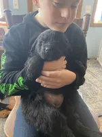 processed/f8bc17d0-d970-4ed3-aab9-bc261f155351/listing/e155e8d5-ab72-480d-9f4b-10a0094f0f02/53040590-f9e3-4c30-ab9f-65cd1b2f5d17