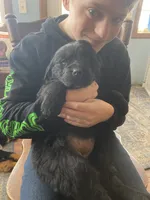 processed/f8bc17d0-d970-4ed3-aab9-bc261f155351/listing/e155e8d5-ab72-480d-9f4b-10a0094f0f02/6cd753f2-8806-4197-89a8-0617495f63e6