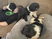 processed/f8bc17d0-d970-4ed3-aab9-bc261f155351/listing/e155e8d5-ab72-480d-9f4b-10a0094f0f02/6d1a4e2b-7a3b-4924-8bd5-7fe4871d2556