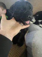 processed/f8bc17d0-d970-4ed3-aab9-bc261f155351/listing/e155e8d5-ab72-480d-9f4b-10a0094f0f02/8858a49d-777d-4952-bb20-4e414812b0c1