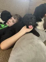 processed/f8bc17d0-d970-4ed3-aab9-bc261f155351/listing/e155e8d5-ab72-480d-9f4b-10a0094f0f02/cd33ffee-349f-42e0-8a4e-b0ce4f593814