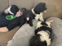 processed/f8bc17d0-d970-4ed3-aab9-bc261f155351/listing/e155e8d5-ab72-480d-9f4b-10a0094f0f02/dd16553d-6665-46ba-b3d4-bf3addc37b0a