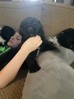 processed/f8bc17d0-d970-4ed3-aab9-bc261f155351/listing/e155e8d5-ab72-480d-9f4b-10a0094f0f02/e9c7038d-fda1-4536-a1f5-08992449408c