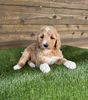 processed/f8d1250d-65ff-4616-a153-b33eea26e988/listing/4141deb7-500a-4b6e-a8c3-15a80813d8c5/77fb7f11-c154-420b-8013-50949af92eb0