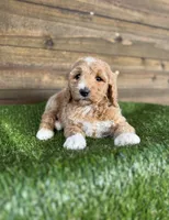 processed/f8d1250d-65ff-4616-a153-b33eea26e988/listing/4141deb7-500a-4b6e-a8c3-15a80813d8c5/a80c782f-f648-4d11-a75e-972cc5255df4