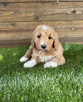 processed/f8d1250d-65ff-4616-a153-b33eea26e988/listing/4141deb7-500a-4b6e-a8c3-15a80813d8c5/ecb60d3c-1f1d-404a-a8bf-bc0fe4010eaf