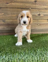 processed/f8d1250d-65ff-4616-a153-b33eea26e988/listing/da167f84-491c-4843-ba99-317984c5f2c4/e4d095ac-e3b3-4372-b161-5e142cb13a6f