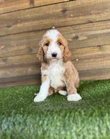 processed/f8d1250d-65ff-4616-a153-b33eea26e988/listing/e0454ffb-67db-4e7e-98ef-cb2c959d50e9/1a7dc1d2-0b03-4259-bd8c-c87e2f0e039b