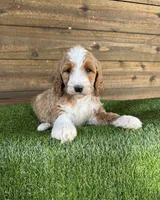 processed/f8d1250d-65ff-4616-a153-b33eea26e988/listing/e0454ffb-67db-4e7e-98ef-cb2c959d50e9/6ee82686-198e-4cda-841e-c610b8e83ca2