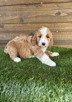 processed/f8d1250d-65ff-4616-a153-b33eea26e988/listing/e0454ffb-67db-4e7e-98ef-cb2c959d50e9/f09fca10-8848-4e28-a313-59e4d7023052