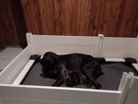 processed/f8d6e905-cd8b-4991-9b90-437bfab6a3f8/facility/6da32314-29fd-4acf-86af-713c6c6d3e2d