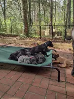 processed/f8d6e905-cd8b-4991-9b90-437bfab6a3f8/facility/7f6b44ec-1892-4d93-a387-301b96c78530