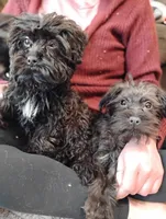 processed/f8d7d211-b074-432b-9da2-dc069cc5bb26/facility/34a02f35-ada7-4cab-9ba2-bc1e6359cd77