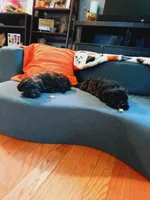 processed/f8d7d211-b074-432b-9da2-dc069cc5bb26/facility/3b91de21-f588-48c2-aba5-763282c71f0b