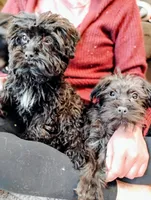 processed/f8d7d211-b074-432b-9da2-dc069cc5bb26/facility/5ea68a89-1d37-4227-802e-65d8328f0947