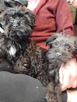 processed/f8d7d211-b074-432b-9da2-dc069cc5bb26/facility/da509f0f-c21a-44e1-ba1a-2990b489120e