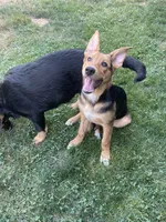 processed/f8de633d-f853-4e8d-a802-0b2bf7c85175/listing/afbd8ec3-d348-46e3-b319-7ad6569cec38/02b54373-6c84-4855-b77d-98da358c69e6