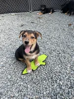 processed/f8de633d-f853-4e8d-a802-0b2bf7c85175/listing/afbd8ec3-d348-46e3-b319-7ad6569cec38/08566b9a-60aa-4a75-816d-966a9b9887e2