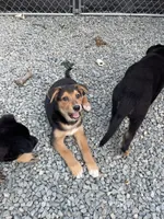 processed/f8de633d-f853-4e8d-a802-0b2bf7c85175/listing/afbd8ec3-d348-46e3-b319-7ad6569cec38/0d45edb3-62a4-4454-a079-abaf52e3aa30