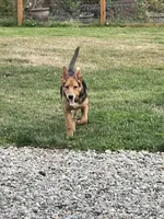 processed/f8de633d-f853-4e8d-a802-0b2bf7c85175/listing/afbd8ec3-d348-46e3-b319-7ad6569cec38/6cd011e6-e9ee-41b4-a6d5-bd09376c240b