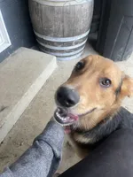 processed/f8de633d-f853-4e8d-a802-0b2bf7c85175/listing/afbd8ec3-d348-46e3-b319-7ad6569cec38/7e0011df-78b8-4315-86f7-6cd11901517d