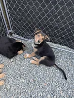 processed/f8de633d-f853-4e8d-a802-0b2bf7c85175/listing/afbd8ec3-d348-46e3-b319-7ad6569cec38/9d2cd568-e21f-48b7-8038-84f49af532f8