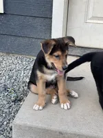 processed/f8de633d-f853-4e8d-a802-0b2bf7c85175/listing/afbd8ec3-d348-46e3-b319-7ad6569cec38/b08ba8e0-a9ae-4ad9-bf29-a245cabe6ff2