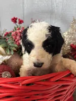 processed/f8ea23ec-ef14-4093-bea7-72423b210018/listing/1fc4e17f-b255-467a-a429-f00b5b20d876/787b5ed0-2846-498b-b77d-c49391f6396d