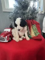 processed/f8ea23ec-ef14-4093-bea7-72423b210018/listing/1fc4e17f-b255-467a-a429-f00b5b20d876/aa56f4ab-0e21-42fd-b104-9a196adfb0ad