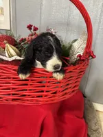 processed/f8ea23ec-ef14-4093-bea7-72423b210018/listing/75c52833-e9d7-4e91-9f5f-931bd9280a0d/363c92da-8c60-497f-88fb-f985f40e20e0