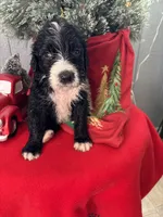 processed/f8ea23ec-ef14-4093-bea7-72423b210018/listing/75c52833-e9d7-4e91-9f5f-931bd9280a0d/4cd54036-e1b2-4499-bae0-83b0048c2bce