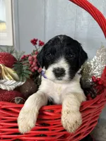 processed/f8ea23ec-ef14-4093-bea7-72423b210018/listing/9d02014c-1901-4533-bfbe-58f914b88017/46811468-8f70-4a29-8c83-f21f47862aa3