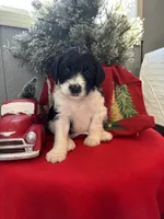 processed/f8ea23ec-ef14-4093-bea7-72423b210018/listing/9d02014c-1901-4533-bfbe-58f914b88017/906ded64-e3df-46ed-87e9-02422a60e717