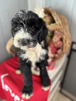 processed/f8ea23ec-ef14-4093-bea7-72423b210018/listing/a74d3ace-0f21-4739-9c0f-c5032ec4704c/2d578d92-a388-4623-ad1a-56cb1fac2a6e