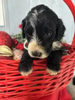 processed/f8ea23ec-ef14-4093-bea7-72423b210018/listing/a74d3ace-0f21-4739-9c0f-c5032ec4704c/47647ff5-4014-4f3f-9a04-8cc255207eaa