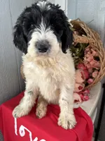 processed/f8ea23ec-ef14-4093-bea7-72423b210018/listing/d897bc40-c0a5-4019-8362-b7cd4df629a6/1dcaec01-b20d-4382-bb35-5e817d7299e0