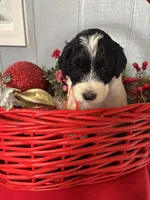 processed/f8ea23ec-ef14-4093-bea7-72423b210018/listing/d897bc40-c0a5-4019-8362-b7cd4df629a6/90278c9a-254c-4045-b731-07b42f7bd92b