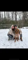 Betsy , a female Golden Retriever for sale in Winfield, TN – 3 of 3