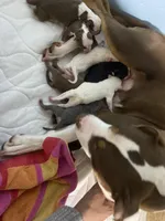 processed/f8ed118c-a1b4-43f7-b395-5865e48a17e1/facility/0c17c9c4-dbd5-430b-b294-e5b00e974e36