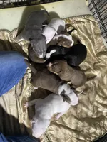 processed/f8ed118c-a1b4-43f7-b395-5865e48a17e1/facility/2fd1af1f-c10a-4c72-9475-7d0dd9e4e409